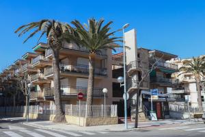 Gallery image of DIFFERENTFLATS Dms in La Pineda