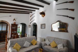 - un salon avec deux canapés et un miroir dans l'établissement Tu Villa Rural Acequia 5 Dormitorios, à Alhaurín el Grande