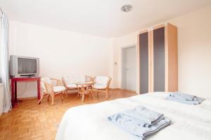 1 dormitorio con 1 cama, TV y sillas en Ferienhaus Seestern am Steinhuder Meer, 5 Schlafzimmer, en Steinhude