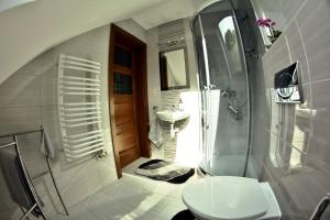 a bathroom with a sink and a shower and a toilet at Domek Obidza 362 - Agroturystyka in Obidza