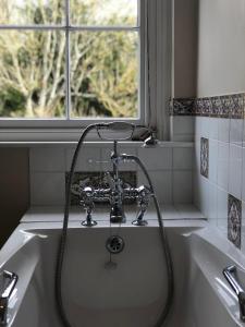 a bath tub with a shower in front of a window at Rhydspence in Hay-on-Wye