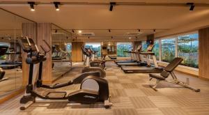 Fitness centrum a/nebo fitness zařízení v ubytování Lemon Tree Premier City Center Pune