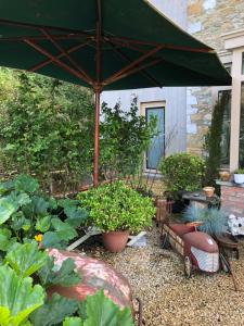 un jardín con una gran sombrilla verde y plantas en Gîte de Corbion loft2, en Ciney