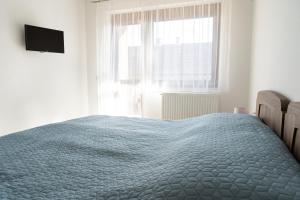 Gallery image of RÁBA Apartman in Sárvár