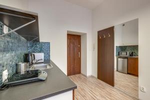 Kuchyň nebo kuchyňský kout v ubytování Apartamenty Mickiewicza - Superior Suites Katowice