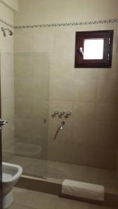 Hotel Castillos de Cafayate في كفايات: حمام مع دش ومرحاض ونافذة