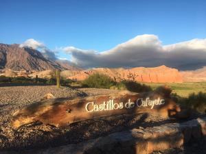 a log on the ground with mountains in the background at Hotel Castillos de Cafayate in Cafayate