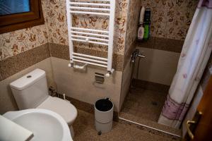 a small bathroom with a toilet and a sink at The Mouzakles Mansion in Metsovo +55 photos
