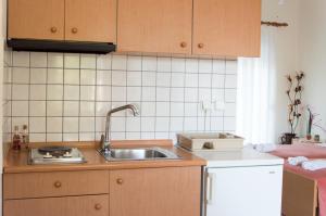 Kuchyň nebo kuchyňský kout v ubytování Dimitriou Rooms