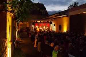 een menigte mensen die naar een concert op een podium kijken bij Pension Weingut Schwab in Thüngersheim