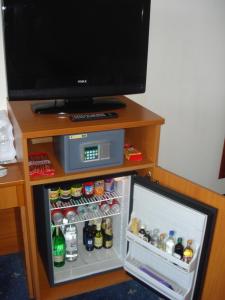 TV a/nebo společenská místnost v ubytování Hotel Rosina