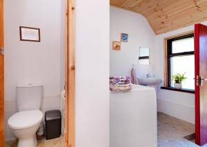 a bathroom with a toilet and a sink at Meadowsweet Forest Lodge in Fintown