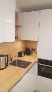 Kuchyň nebo kuchyňský kout v ubytování Apartment Villa Leopoldskron