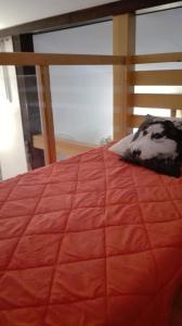 
Łóżko lub łóżka w pokoju w obiekcie Apart - House

