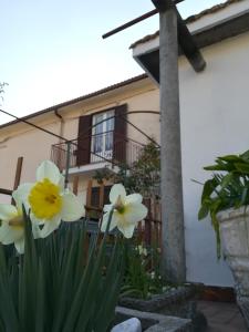 Budova, kde se apartmán nachází + 16 fotografií