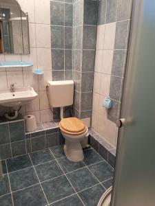 a bathroom with a toilet and a sink at Recea186 in Recea