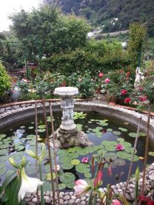 Photo de la galerie de l'établissement B&B Palazzo a Mare, à Capri 79 autres photos