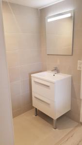 un bagno con un lavandino bianco e uno specchio di Appartement T2 proche gare et centre Bourgoin a Bourgoin