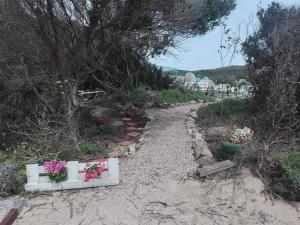 a dirt path with flowers in white boxes on it at Azienda Agricola Li Nalboni in Santa Teresa Gallura