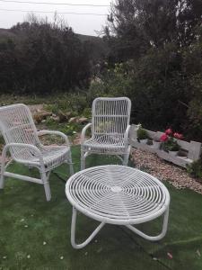 dwa krzesła i stół i dwa krzesła na trawniku w obiekcie Azienda Agricola Li Nalboni w mieście Santa Teresa Gallura