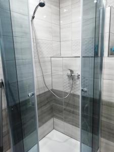 a shower with a glass door in a bathroom at Apartmán Lux Prešov in Prešov