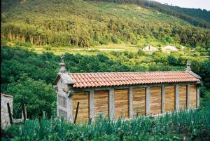 Príroda v okolí of the country house