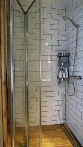 una doccia con una porta in vetro in un bagno di Apartamenty siostra i siostra a Łaziska Altre 21 foto
