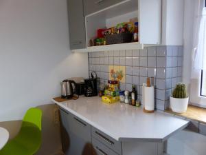 Kuchyň nebo kuchyňský kout v ubytování Apartament Kraszewskiego