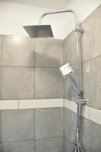 a shower with a shower head in a bathroom at Farbgasse 13 in Butzbach