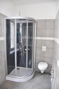 a bathroom with a shower and a toilet at Farbgasse 13 in Butzbach
