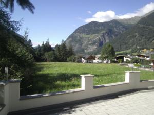 um campo de relva verde com montanhas ao fundo em Appartement Elena em Umhausen