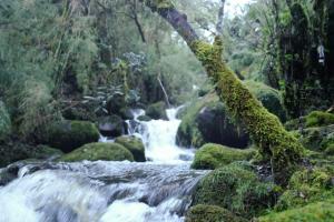 Příroda nedaleko venkovského domu + 8 fotografií