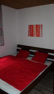 a bedroom with a bed with a red blanket at Haus Tamara in Finkenberg