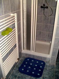 a bathroom with a shower and a blue tiled floor at Haus Tamara in Finkenberg