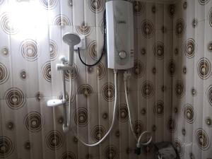 Bagno di Alass Ga For Pets Lovers