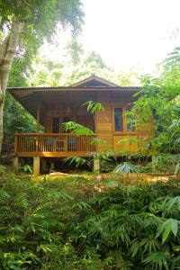 eine Holzhütte mit einer Veranda im Wald in der Unterkunft Nomad Divers Bangka in Manado