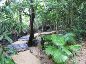 Ein Garten an der Unterkunft Nomad Divers Bangka