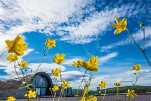 pole żółtych kwiatów pod niebieskim niebem w obiekcie Icehotel w mieście Jukkasjärvi