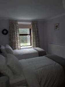 2 Betten in einem Schlafzimmer mit Fenster in der Unterkunft The Annexe Cottage at Newhouse Farm in Lanark