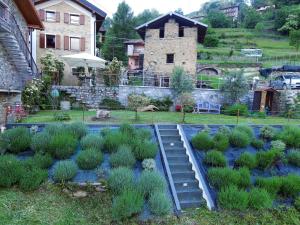 um jardim com arbustos e escadas em frente a uma casa em Casa Della Lavanda em Stazzona