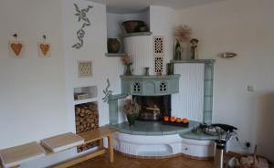 a living room with a fireplace in a room at Ferienwohnung Ott in Beerheide