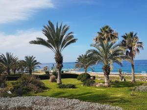 un grupo de palmeras en la playa en Sea front Villa Vera en Khlorakas