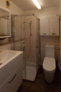 uma casa de banho com um chuveiro, um WC e um lavatório. em Harznest em Braunlage