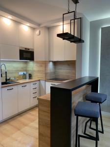 Kuchyňa alebo kuchynka v ubytovaní Apartament studio z widokiem na Odrę Bulwary Książęce