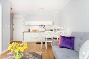 Kuchyňa alebo kuchynka v ubytovaní Jantar Apartamenty Bliżej Morza