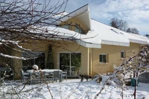 a house with a dog standing in the snow at Chez Brigitte et Sylvain in Annecy