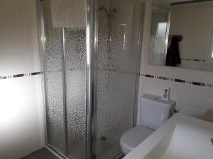 a bathroom with a shower with a toilet and a sink at Maison de la Gare in Tombeboeuf