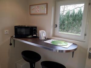 a kitchen counter with a microwave and a window at Maison de la Gare in Tombeboeuf