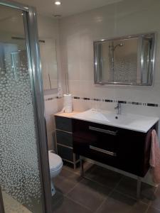 een badkamer met een wastafel, een toilet en een douche bij Maison de la Gare in Tombeboeuf