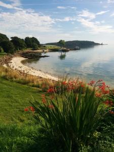 een uitzicht op een strand met bloemen in het gras bij Boutique Coastal appt nr Edinburgh in Saint Davids